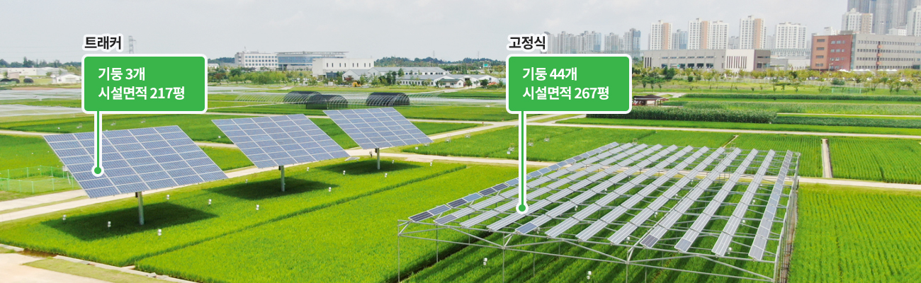 파루 영농형 태양광